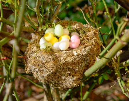 Easter eggs in a nest in the garden