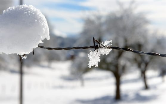 a wintry landscape with snow