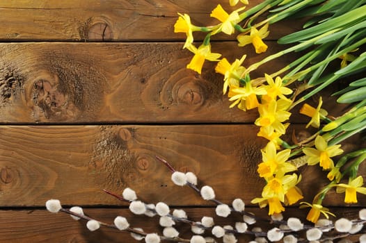 Daffodils and palm kittens on old weathered wooden boards