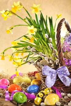 Easter basket with many daffodils and Easter eggs on old weathered wooden boards
