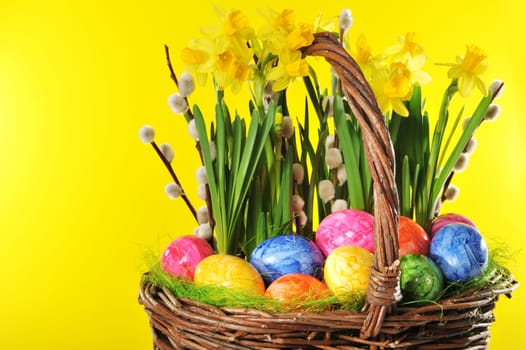 Easter nest with eggs,daffodils and palm kittens