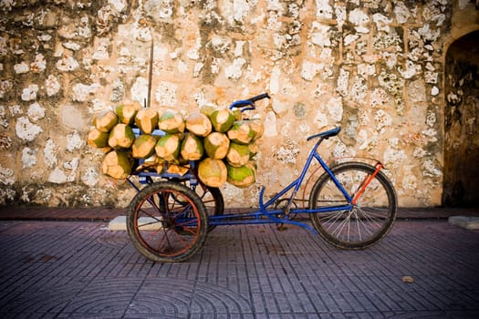 Coconuts in a rickshaw, Santo Domingo, Dominican Republic