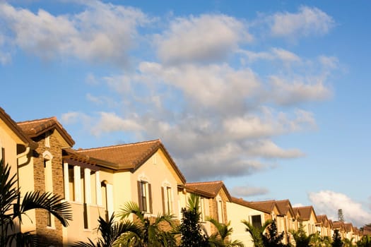Townhouse rooftops