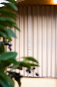 White shutters