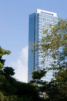 High Rise Building and trees in Miami, Florida, USA