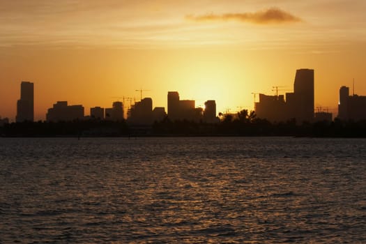 Miami skyline