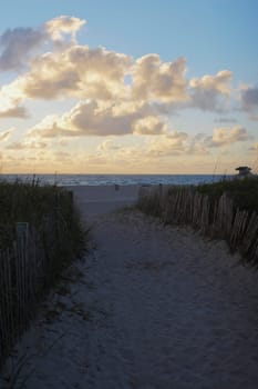 Path leading to beach
