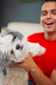 Young man playing with his pets