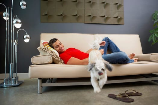 Side profile of a young man lying on a couch and looking at his pets jumping from it