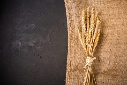 Ears of grain. Golden ears of wheat on burlap textile