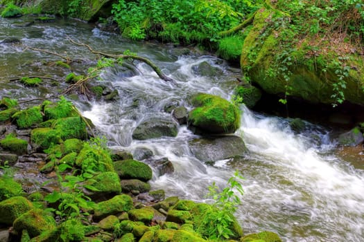 Liebethaler Grund Waterfall in Elbe Sandstone Mountains, Saxony