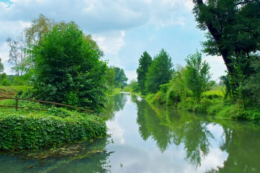 small Spree Forest in summer, Brandenburg