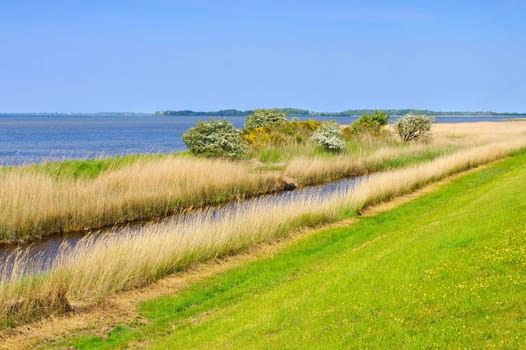 coast on island Ummanz in Germany