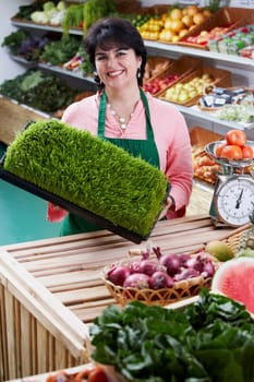 Portrait of a mature woman holding a box of wheatgrass