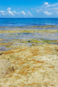 Waves on the beach, Seven Seas Beach, Fajardo, Puerto Rico