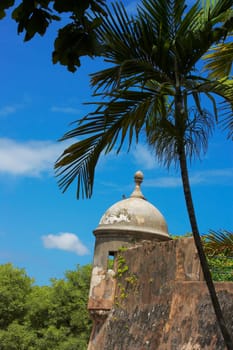 Trees near a castle, Morro Castle, Old San Juan, San Juan, Puerto Rico