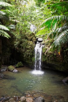 Waterfall in a rainforest, El Yunque Rainforest, Puerto Rico