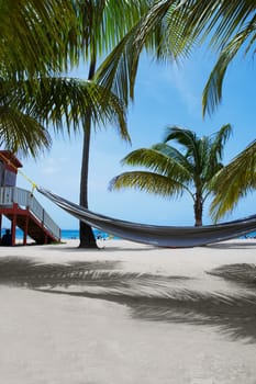 Hammock on the beach, Luquillo Beach, Puerto Rico