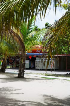 Palm trees in front of a store, Luquillo Beach, Puerto Rico