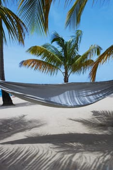 Hammock on the beach, Luquillo Beach, Puerto Rico