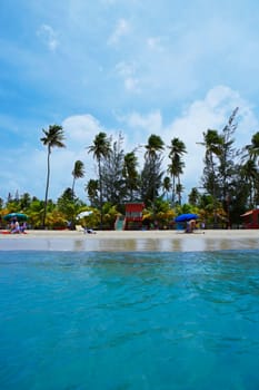 Palm trees on the beach, Luquillo Beach, Puerto Rico