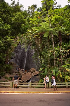 Tourists at a roadside, El Yunque Rainforest, Puerto Rico