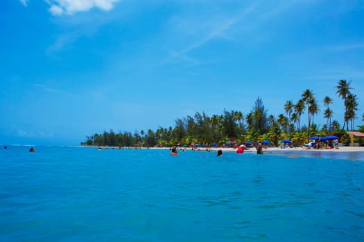 Palm trees on the beach, Luquillo Beach, Puerto Rico