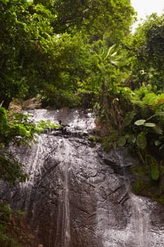 Waterfall in a rainforest, El Yunque Rainforest, Puerto Rico