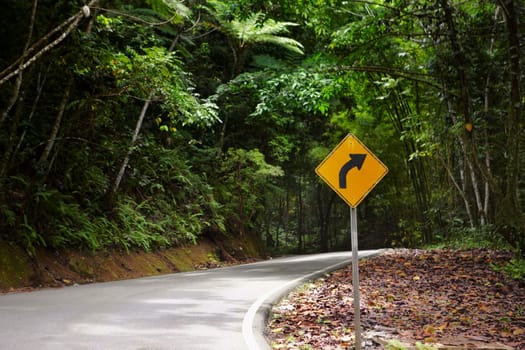 Road sign at the roadside, El Yunque Rainforest, Puerto Rico