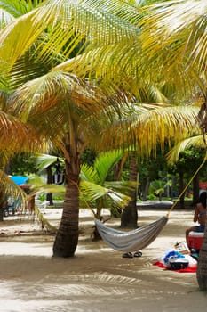 Hammock hanging between Palm trees on the beach, Luquillo Beach, Puerto Rico