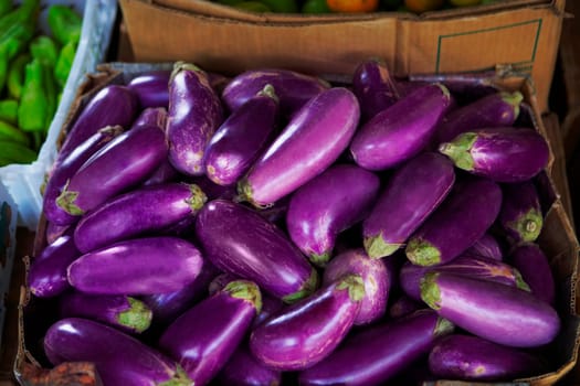 Close-up of eggplants at a vegetable stand