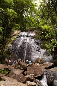 Waterfall in a rainforest, El Yunque Rainforest, Puerto Rico