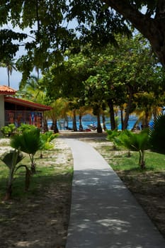 Path leading towards a store on the beach, Luquillo Beach, Puerto Rico