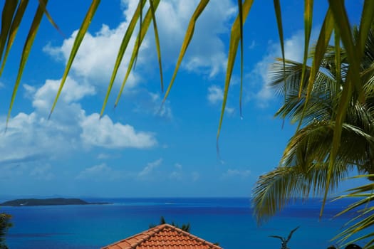 Palm leaves overlooking a beach hut with the sea in the background, Puerto Rico