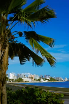 Buildings at the beachfront, El Condado, San Juan, Puerto Rico