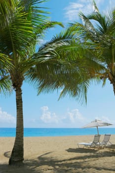 Lounge chairs under patio umbrellas on the beach, Ocean Park, El Condado, San Juan, Puerto Rico