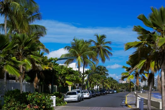 Cars parked at the roadside, El Condado, San Juan, Puerto Rico