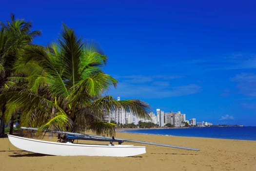 Boat near Palm trees on the beach, Ocean Park, El Condado, San Juan, Puerto Rico