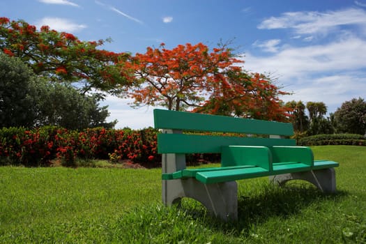 Park bench in a garden