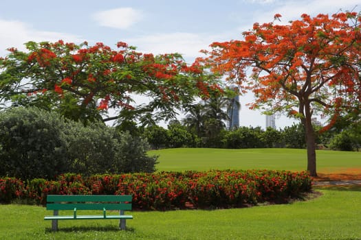 Park bench in a garden