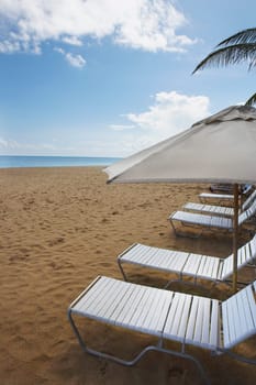 Lounge chairs under sunshades on the beach