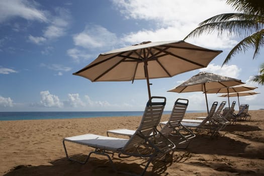 Lounge chairs under sunshades on the beach
