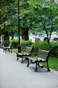 Benches at the roadside in a park