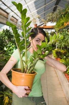 Woman holding a potted plant in a garden center