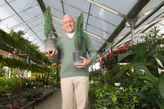 Man holding potted plants in a garden center