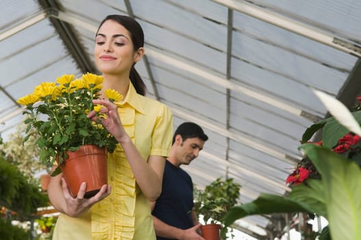 Couple choosing potted plants in a garden center