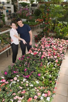 Couple choosing plants in a garden center