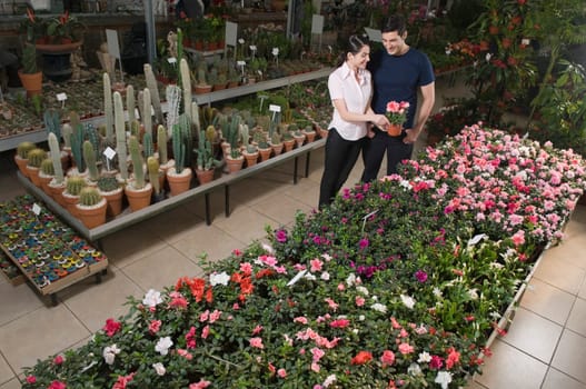 Couple choosing plants in a garden center