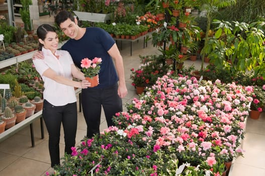 Couple choosing plants in a garden center