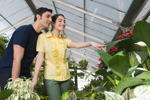 Couple choosing plants in a garden center
